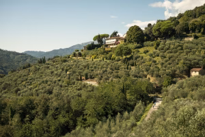 Views while cycling the the Cappella climb near Lucca, Italy.
